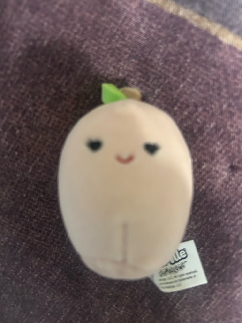 Squashmello - Picture 15 of 16